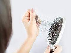 Worst Foods For Hair: इन 7 चीजों का सेवन करने से भी झड़ सकते हैं आपके बाल, नजरअंदाज न करें आज से ही करें परहेज