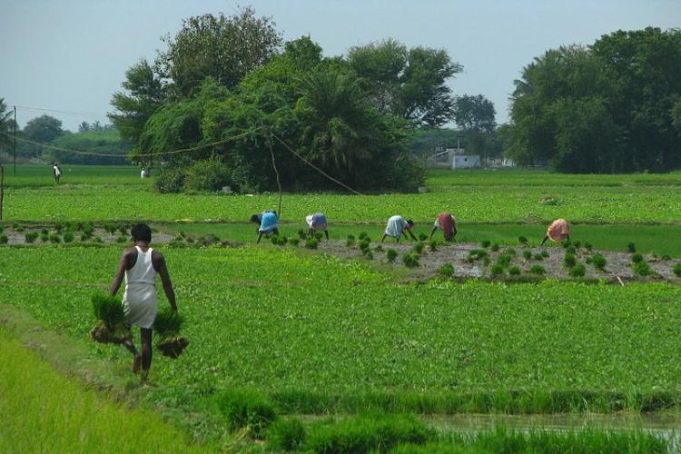 पीएम किसान: बिहार के 99 फीसद लाभार्थियों को मिली 2021 की पहली किस्त, जानें आपकी कहां है लटकी